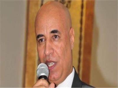 عادل حنفي، نائب رئيس الاتحاد العام للمصريين في الخارج 