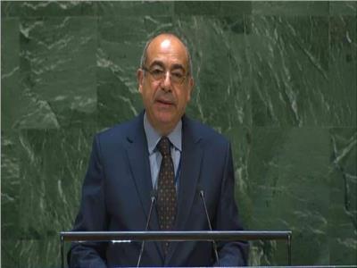  السفير محمد إدريس، مندوب مصر الدائم في نيويورك