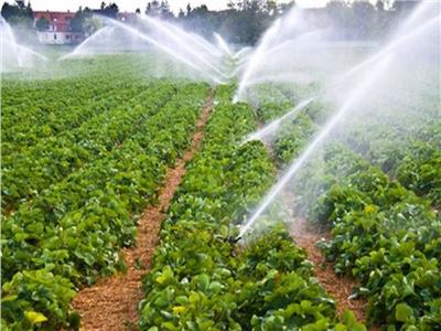 «الزراعة» تنصح المزارعون بإتباع توصياتها لمواجهة الآثار السلبية للطقس