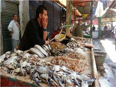 ستقرار أسعار الأسماك في سوق العبور
