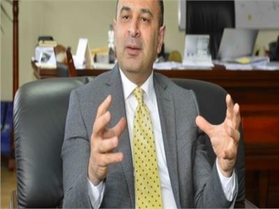 أحمد كمال، نائب وزيرة التخطيط