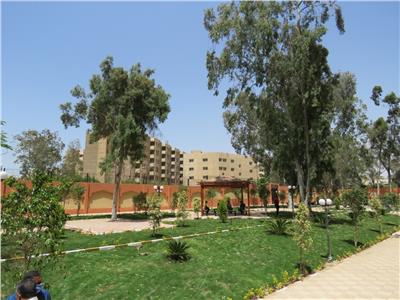 جامعة الأزهر 