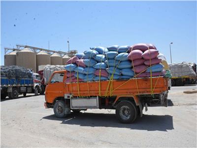توريد 200 ألف طن من القمح للصوامع والشون بمراكز محافظة المنيا