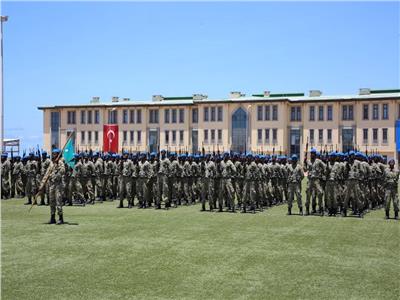 قواعد عسكرية تركية بالمنطقة العربية