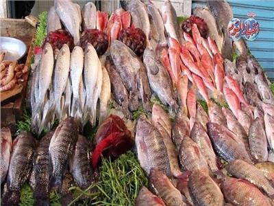  أسعار الأسماك