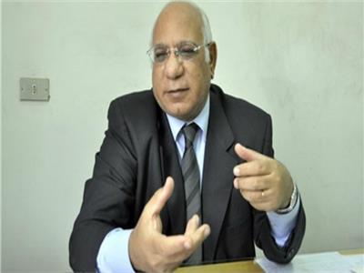 الدكتور نادر نور الدين أستاذ المواد المائية بجامعة القاهرة