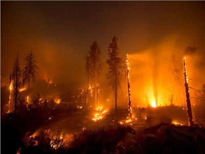 حرائق الغابات بكاليفورنيا