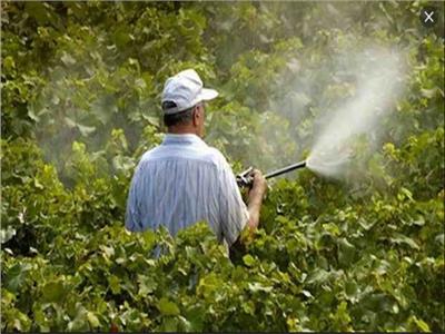 الزراعة تشدد الرقابة على المبيدات 