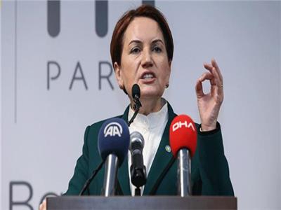 رئيسة حزب "الخير القومي" التركي ميرال أكشنار