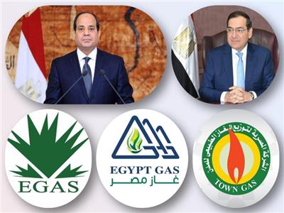 وزير البترول والرئيس عبد الفتاح السيسي والشركات 