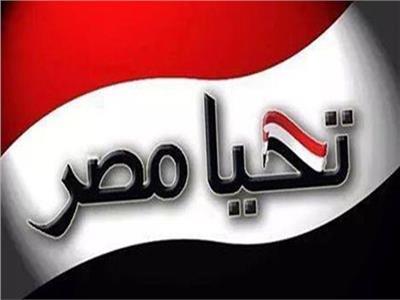  «صندوق تحيا مصر»