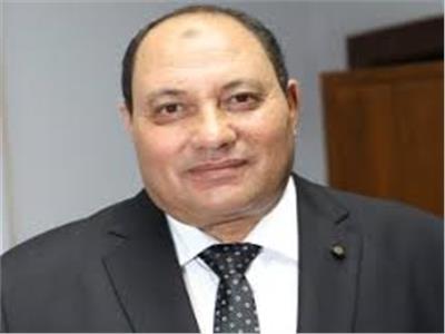 المهندس مصطفى الصياد نائب وزير الزراعة