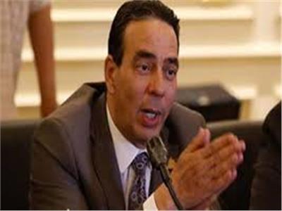 الدكتور أيمن أبو العلا، عضو لجنة الصحة