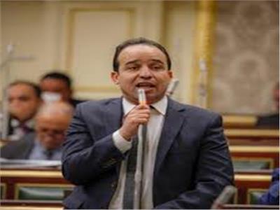 النائب محمد إسماعيل عضو مجلس النواب