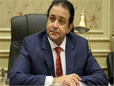 علاء عابد النائب الاول لرئيس البرلمان العربى 