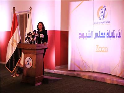  الدكتورة مايا مرسي رئيسة المجلس القومى للمرأة 