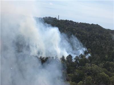 رجال الإطفاء يحجمون حريق غابات أستراليا 