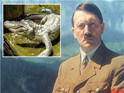 « تمساح هتلر » في متحف داروين 