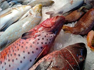 أسماك  سوق العبور