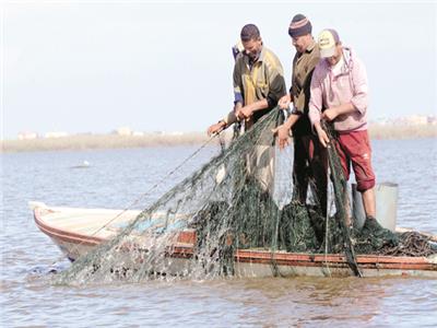 تطهير البحيرة سهَّل عمل الصيادين