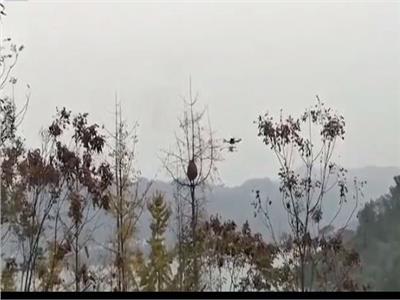 الصين تلجأ لسلاح طائر لإنقاذ المواطنين من الدبابير 