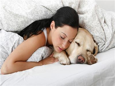 فوائد النوم بجانب كلبك 