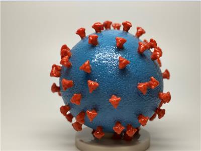طباعة ثلاثية الأبعاد لجسيم لقاح سارس كوف-2 (ارشيفية من رويترز)