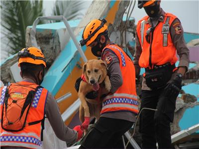 ضباط الشرطة الإندونيسية مع كلب بوليسي يتفقدون مبنى منهارًا بعد زلزال 