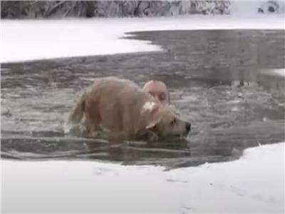 صحفي يلقي بنفسه في بحيرة ثلج لإنقاذ كلب