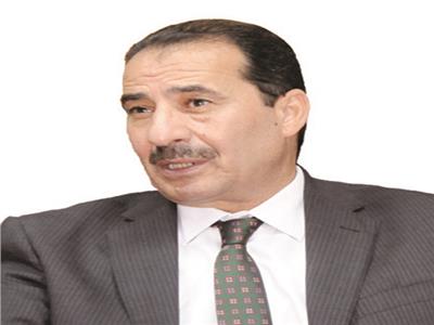 د. عدلى سعداوى عضو المجلس المصرى للشئون الخارجية