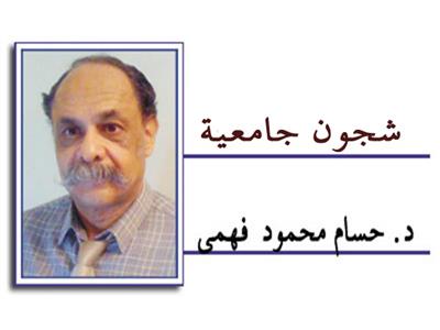 د. حسام محمود  فهمي