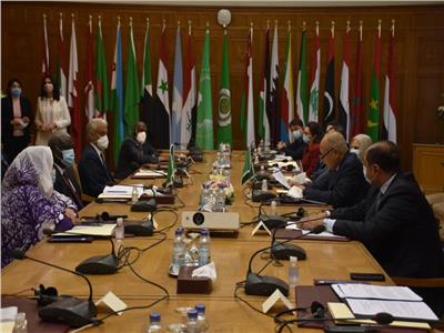  اجتماع عربي أفريقي مشترك