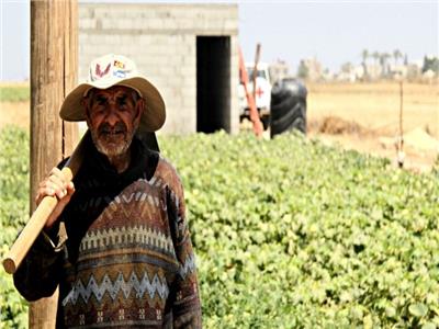 مزارع فلسطيني - صورة توضيحية