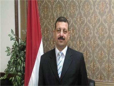 الدكتور أيمن حمزة، المتحدث الرسمي باسم وزارة الكهرباء