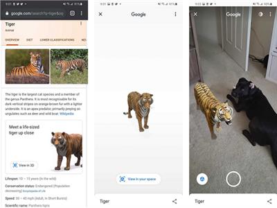 حيوانات جوجل ثلاثية الأبعاد