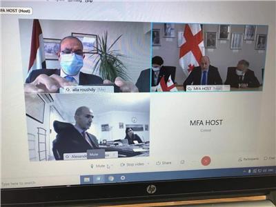  جلسة مشاورات سياسية مع نائب وزير الخارجية الجورجي عبر الفيديو كونفرانس
