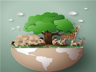في اليوم العالمي للأحياء البرية.. 5 أسباب للاحتفال تعرف عليهم