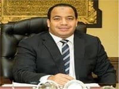 د. عبدالمنعم السيد مدير مركز القاهرة للدراسات الاقتصاديه والاستراتيجية