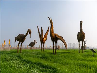 حيوانات وطيور مصنوعة من قش الأرز