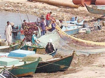   تحسن الأحوال المعيشية للصيادين بعد التطوير