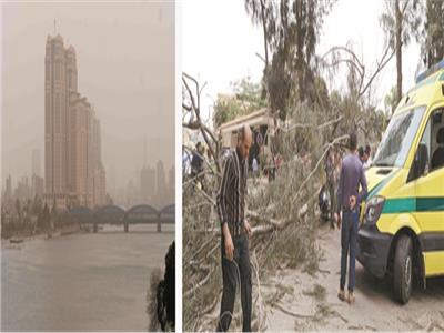  سقوط إحدى الأشجار بسبب الرياح الشديدة... ورياح ترابية علي العاصمة