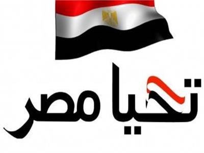 صندوق تحيا مصر