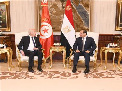 الرئيس عبد الفتاح السيسي والرئيس التونسى قيس سعيد