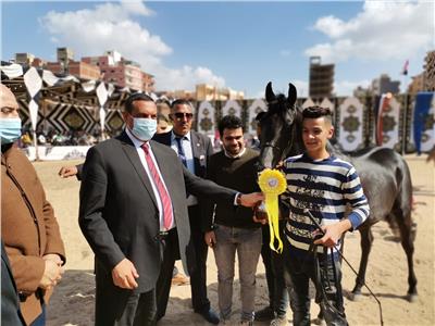 فعاليات اليوم الثاني لمهرجان الدولي الرابع عشر للخيول العربية الأصيلة