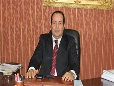 عبد الباسط الشرقاوى، عضو مجلس النواب
