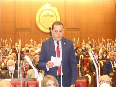 النائب باهر أمين وكيل اللجنة الدستورية والتشريعية بمجلس الشيوخ