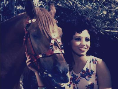 الحصان شنكل - صورة إرشيفية 