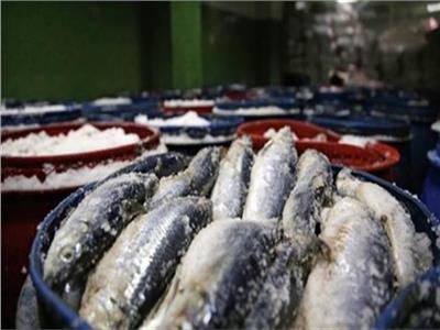 مصانع الأسماك المملحة 