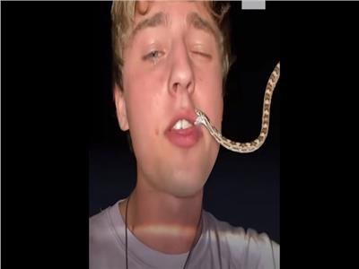 دايفيد أوري شاب أمريكي يعشق لدغات الثعابين
