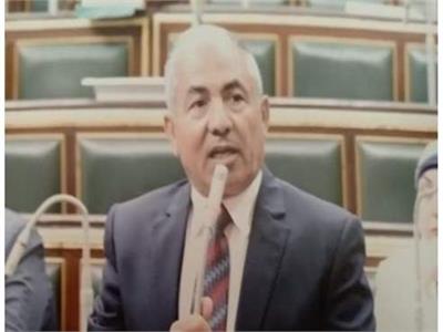 النائب أحمد العوضى، رئيس الهيئة البرلمانية لحزب حماة الوطن